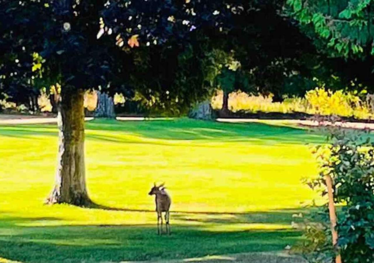 Oceanside Manor - Fancy Room - Golf Course & Beach View Qualicum Beach Exterior foto